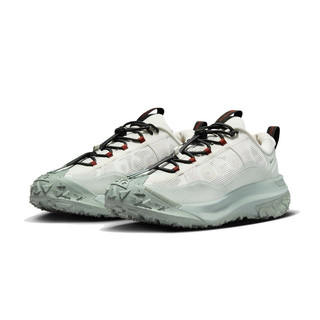 Nike ACG Mountain Fly 2 Low GTX [HF6245-003] 男 慢跑鞋 戶外 防水 灰白