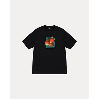 AirRoom 正品 2025SS STUSSY BERRIES TEE 草莓 LOGO 熱門款 短T 1905108