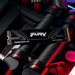 金士頓 FURY Renegade G5 1TB 2TB 4TB PCIe 5.0 NVMe M.2 SSD 固態硬碟