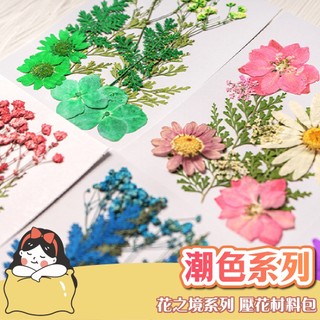 壓花 潮色系壓花 壓花材料包 乾燥花書籤 乾燥壓花 書籤DIY 押花 壓花材料 壓花DIY 樹葉書籤 乾燥花 滴膠