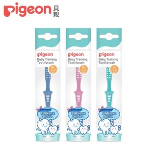 【Pigeon 貝親】第三階段學習牙刷／3色