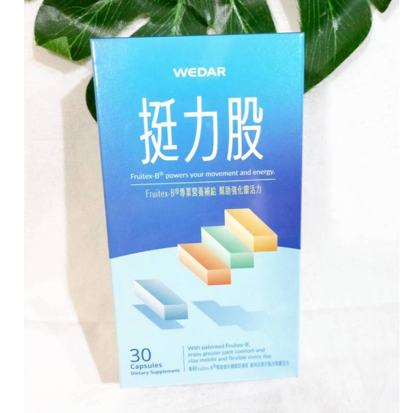 WEDAR 挺力股的價格推薦 - 2026年7月 | 比價比個夠BigGo