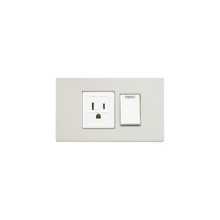 SUZONE樹榮電工 開關插座-典雅系列（曉灰）- 一開關一附接地插座 （附發票）