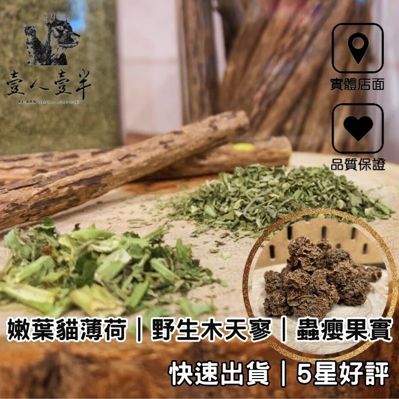 【天然乾燥貓薄荷】台灣嫩葉貓草＋進口木天蓼棒／蟲癭果實｜潔牙化毛神器｜Catnip玩具｜主子放鬆好夥伴｜抓板枕頭玩具適用