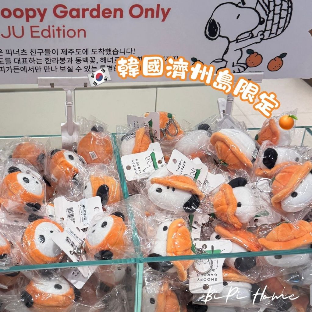 𝐁𝐢𝐏𝐢𝐇𝐨𝐦𝐞🐈‍⬛｜現貨｜🇰🇷韓國代購濟州島限定史奴比🍊 濟州島史奴比 史奴比限定款 韓國代購