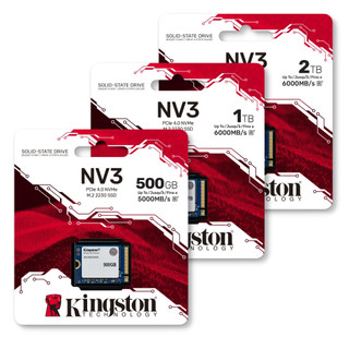 Kingston 金士頓【NV3 PCIe 4.0 NVMe SSD SNV3SM3】500G/1TB/2TB