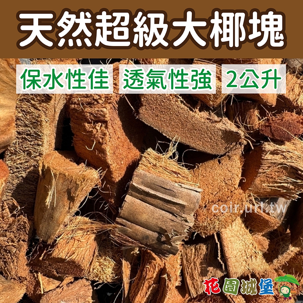 【花園城堡】現貨 天然超級大椰塊 Coconut husk 低鹽 椰殼塊 2公升 氣根類蘭花鋪面火鶴花觀葉植物介質蘭花