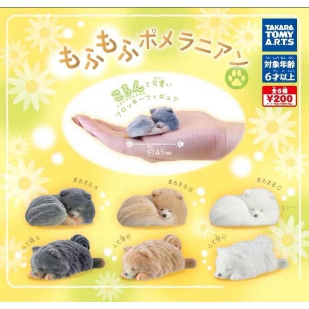 現貨🌸 T-ARTS 植絨博美犬 公仔 小狗 狗狗 動物 擺件 扭蛋 轉蛋 博美犬