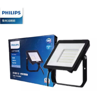 （多購優惠）Philips 飛利浦 BVP153 G2 LED 戶外投射燈 投光燈 100/150/200W 白/黃光