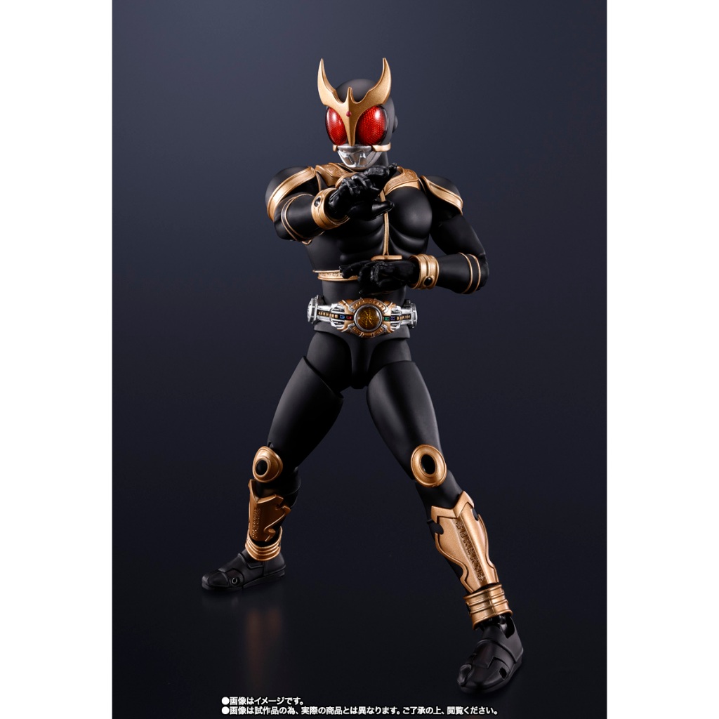 S.H.F SHF 真骨雕 製法 假面騎士空我 空我 驚異全能型態 10th 10週年紀念 Ver.
