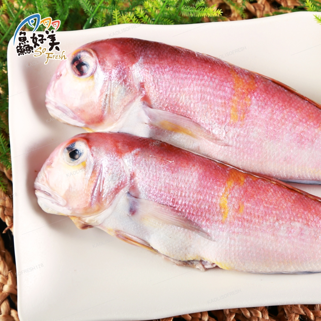 馬頭魚｜優惠推薦- 蝦皮購物- 2026年1月