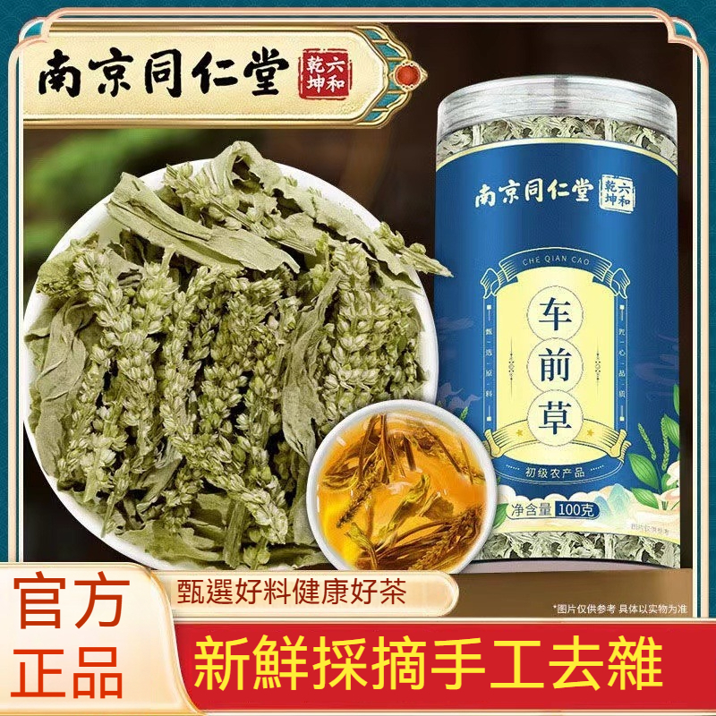 🌻臺發貨 南京同仁堂 野生車前草 幹貨泡茶新鮮泡水喝車前草茶 養生茶包 質優味濃 頭茬新貨 幹淨無雜 100g