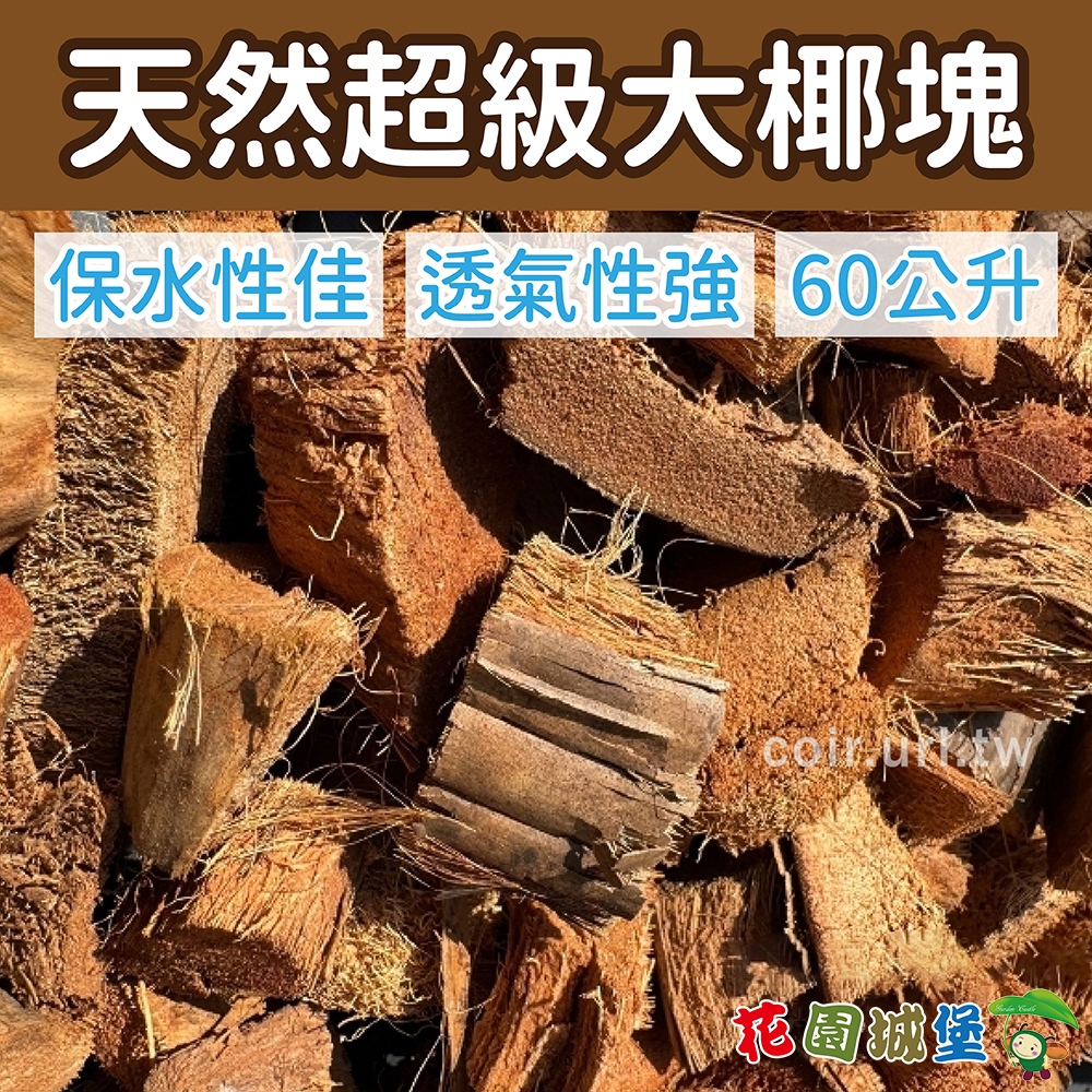 【花園城堡】現貨 天然超級大椰塊 Coconut husk 低鹽 椰殼塊 60公升 氣根類蘭花 蕨類 保溫保濕 抑制雜草