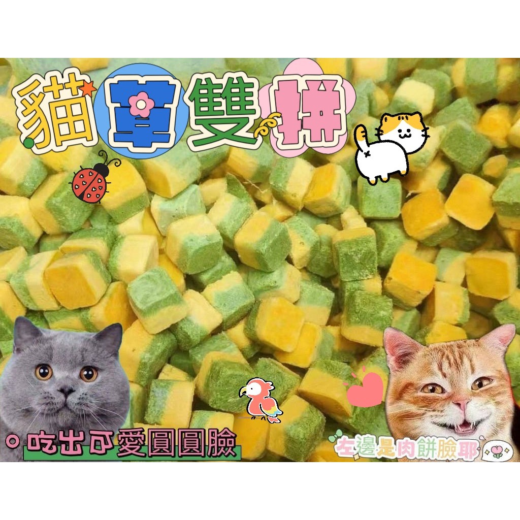 貓草雙拼 凍乾貓草 貓草 天然卵磷脂 維生素 寵物排毛 幫助消化 豐富營養 零食 寵物凍乾 凍乾零食 犬貓佐食 保留營養