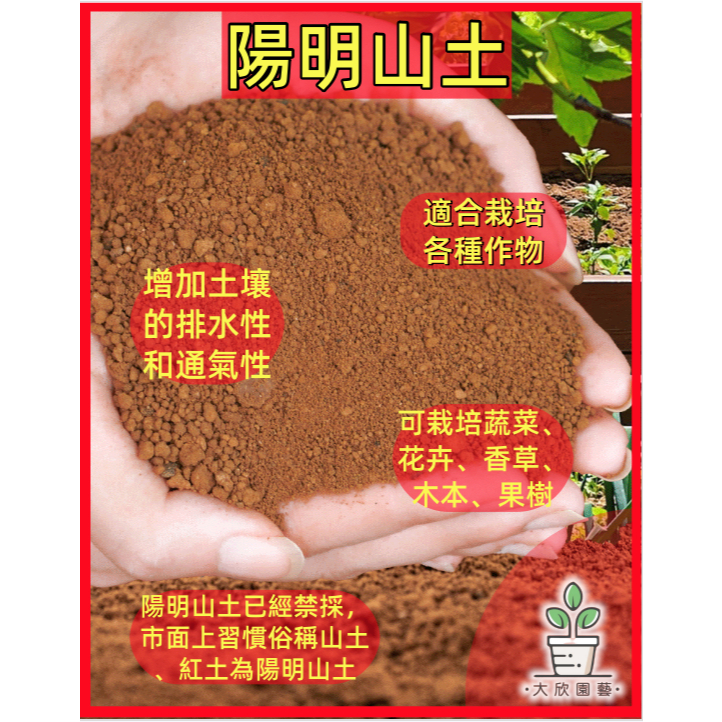 【大欣園藝】電子發票 陽明山土  紅土(天然乾淨)(/黏土/紅土/園藝土/顆粒土/花土/樹土) 黏土 紅土 櫻花 茶花