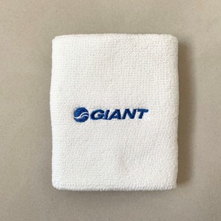 {生活} 捷安特 GIANT 護腕