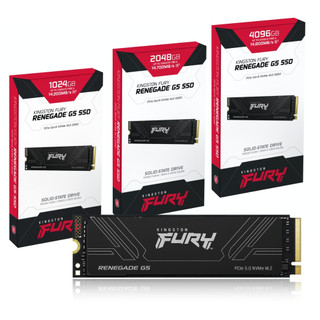 金士頓 Kingston FURY Renegade G5 PCIe 5.0 NVMe M.2 1TB/2TB/4TB