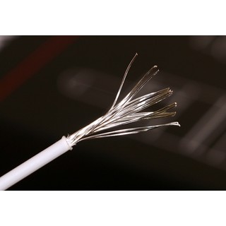Alpha 5856 20awg 鐵氟龍鍍銀線 機內線