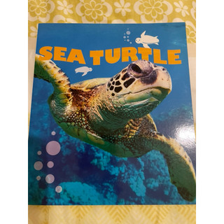 全英文書籍sea turtle介紹海龜