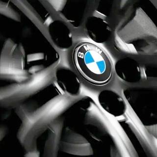 M Performance BMW 原廠 BMW Logo 懸浮式 全車系 輪圈蓋 / 輪框蓋【YGAUTO】