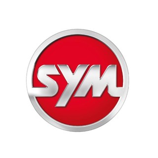 SYM 三陽原廠 35340-H01-000 金發財 碟煞 前煞車開關