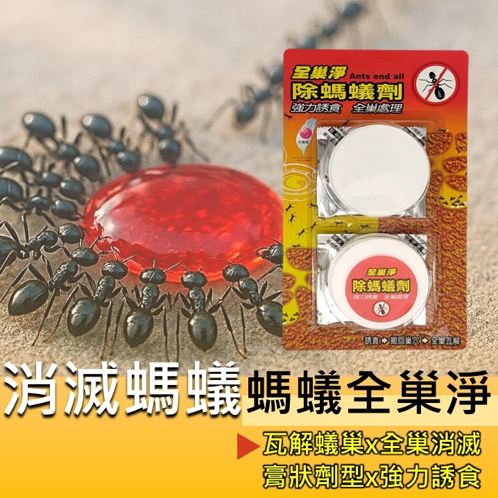 【台灣製造】全巢淨 螞蟻藥 強力誘食 全巢處理 全巢淨 20g 螞蟻藥 除螞蟻膏 螞蟻 除螞蟻 殺蟲 除蟲消毒 蟻藥 硼