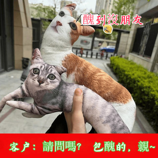 客製化異形人偶 醜人偶 真人 異形骨架抱枕 無邊人偶帶骨架 寵物 人像 動漫人偶客製 生日禮物 應援周邊 禮物 伴手禮