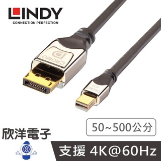 LINDY林帝 MiniDP to DP Mini-DisplayPort對DisplayPort (41551 A)
