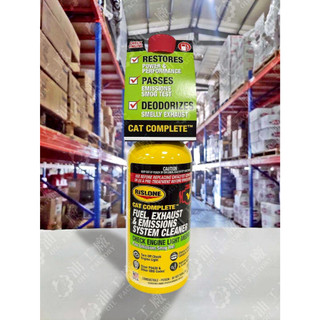 『油工廠』RISLONE Fuel Exhaust & Emissions System Cleaner 燃油OPF清潔