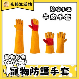 清倉價 手套 防咬手套 防貓咬手套 寵物手套 防貓抓手套 牛皮手套 防咬 手套 防抓手套 抓貓手套 防狗咬手套