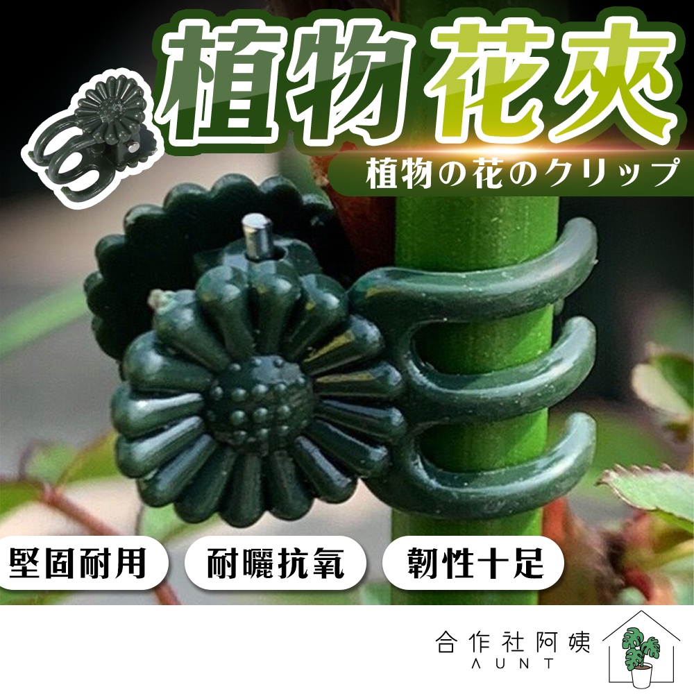 【台灣現貨-免運】花夾 植物固定夾 夾子 園藝工具 固定夾 多功能夾 植物夾 園藝夾 花材固定工具 花藝配件