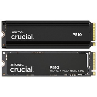 Micron美光 Crucial P510 1TB 含散熱片 M.2 PCIe 5.0/SSD固態硬碟