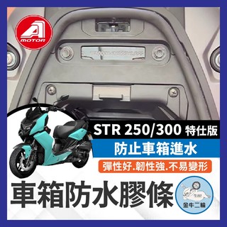 金牛二輪🌟AEON STR 250 300 特仕版 機車防水膠條 坐墊防水膠條 坐墊密封條