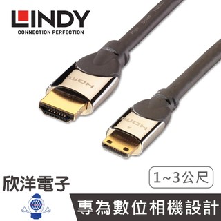 LINDY林帝 Mini HDMI to HDMI 2.0公 傳輸線 3M (41438) 適用攝影機 相機