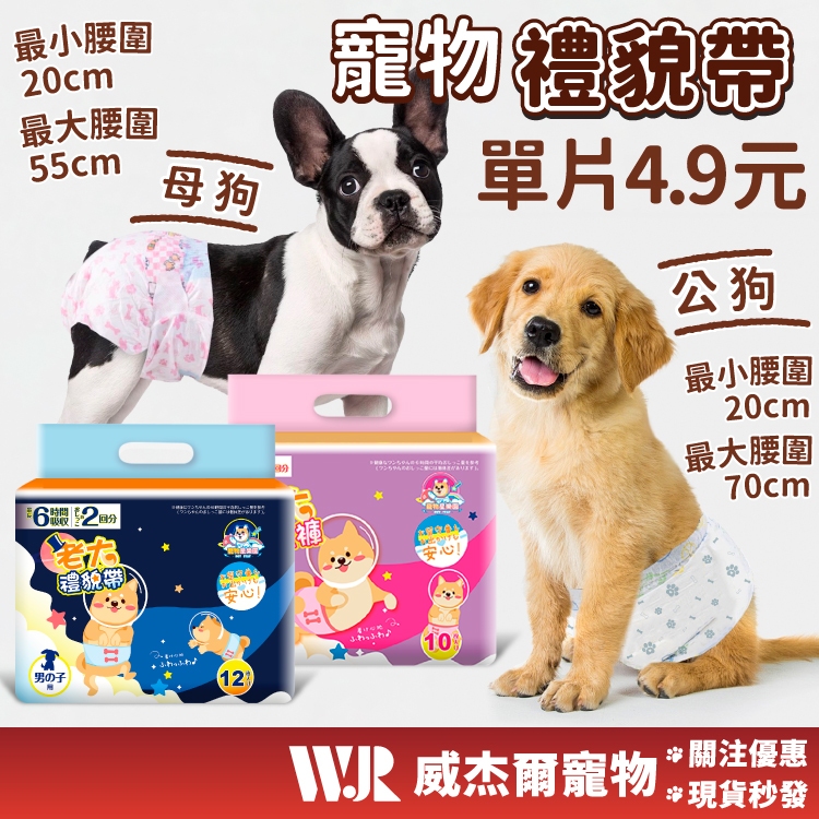 【威杰爾】寵物禮貌帶 狗狗生理褲 多尺寸 狗狗紙尿布 母狗生理褲 紙尿布 寵物尿布 生理褲 狗尿布 狗尿片【A030】