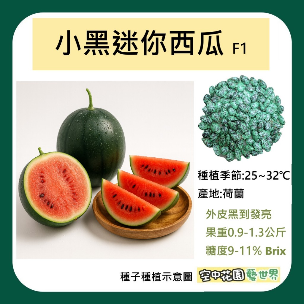 【台灣出貨 電子發票】小黑迷你西瓜 種子 迷你西瓜 西瓜 黑西瓜 菜籽 空中花園藝世界