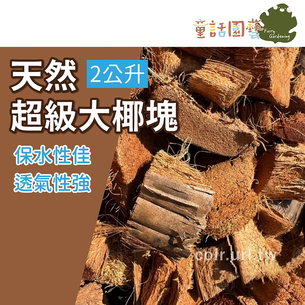 【花園夢想家】天然超級大椰塊 Coconut husk 椰殼塊 2公升 氣根類蘭花 蕨類 保溫 保濕 抑制雜草