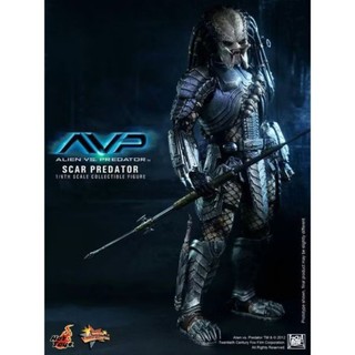 全新 野獸國 Hot Toys MMS190 異形戰場 刀疤異形終極戰士 終戰 Scar Predator
