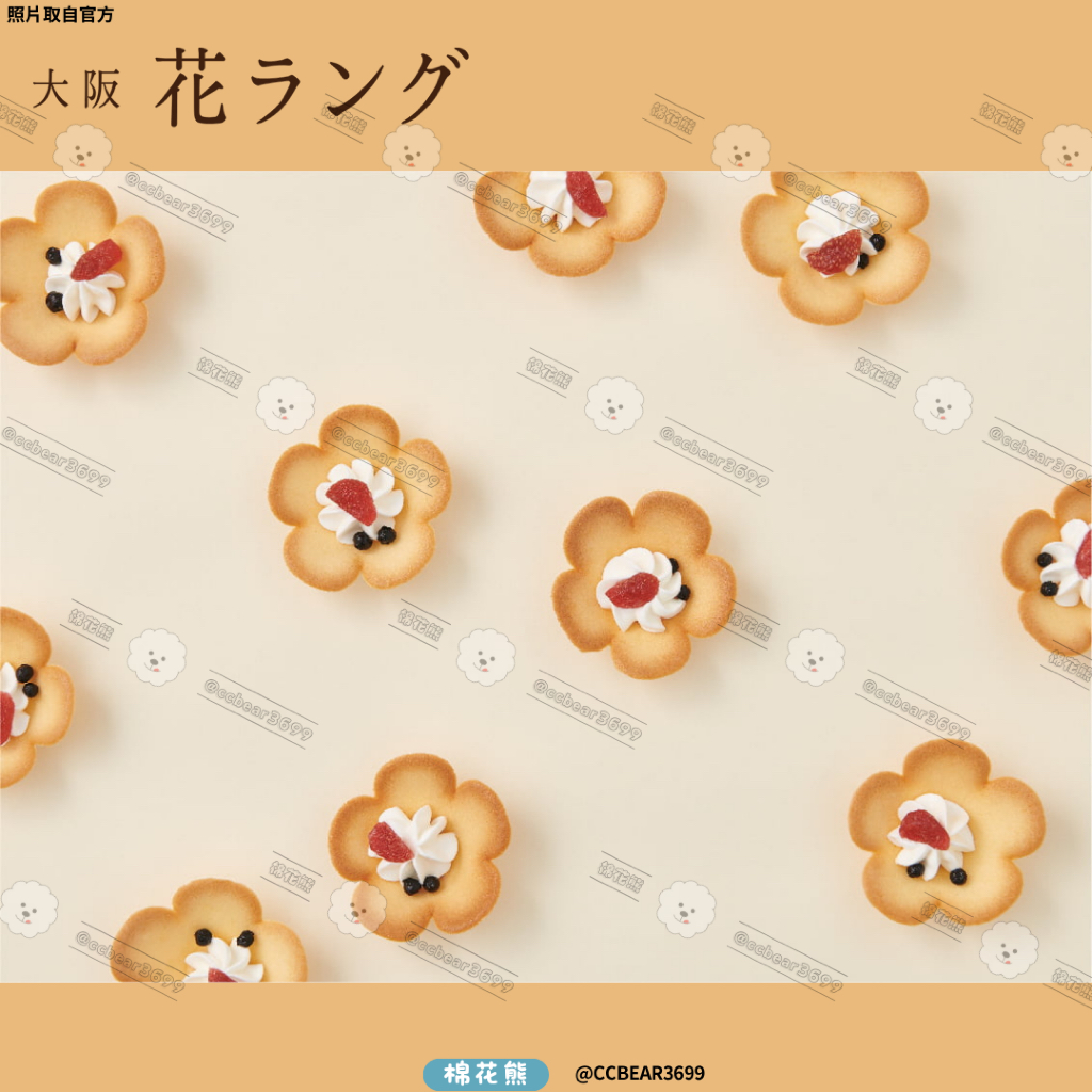 【現貨&預購🔥】大阪 花ラング 日本 大阪花朵餅乾 大阪花 奶油貓舌花朵餅乾 限定禮盒