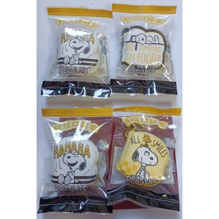 臺灣現貨！正版 史努比 snoopy 吊飾 解壓口袋本