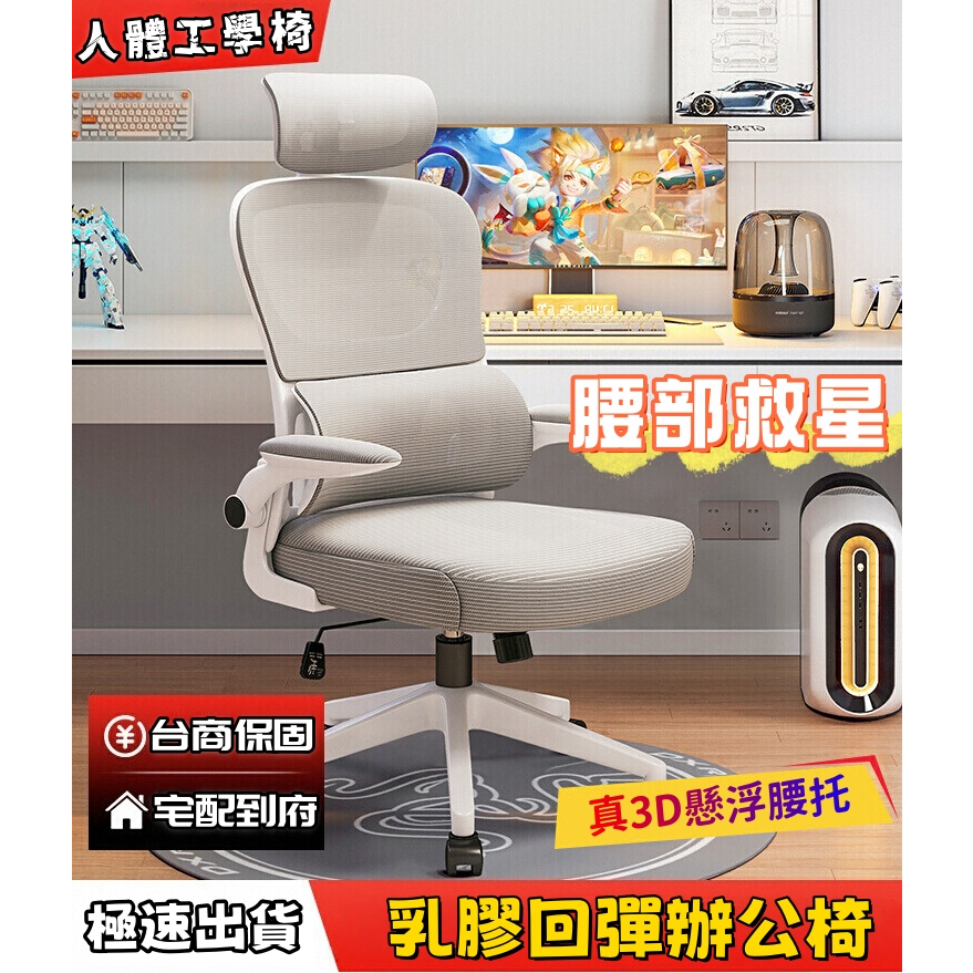 小不記【公司貨+發票】專家級人體工學椅 工學椅 辦公椅 電腦椅 電競椅 坐姿椅 旋轉椅 升降椅 乳膠坐墊 辦公室椅 椅子