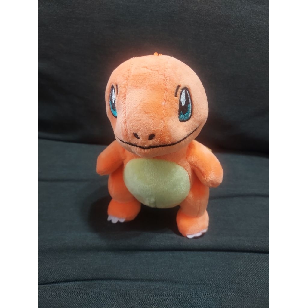 寶可夢 神奇寶貝 小火龍 鯉魚王 海豹球  火球鼠 瓦斯彈 皮寶寶  寶寶丁 哈力栗
娃娃玩偶