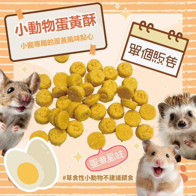 【Yuan²】領券享免運｜小動物蛋黃酥 倉鼠用蛋黃酥 小寵零食 單個販售 倉鼠零食 黃金鼠零食 倉鼠躺手零食 倉鼠點心