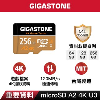 【GIGASTONE】資料救援記憶卡A2 U3 256G/128G/64G｜臺灣製造microSD/64GB/128GB