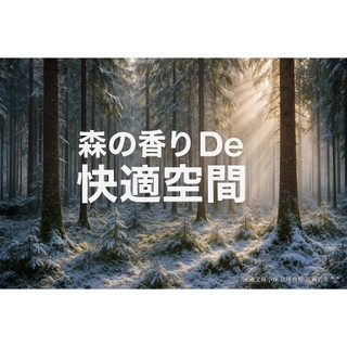 【圓融工具小妹】含稅 日本 PIAA 北海道 森林系 消臭精油 椴松提煉出的精油 一包二入 KK-TD1 #395