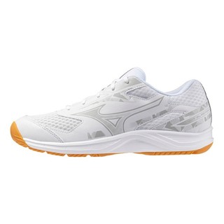 MizunoSKY BLASTER 4 羽球鞋 男 71GA253310 【S.E運動】