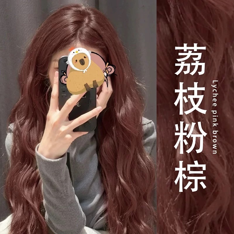 台灣有貨🔥【染髮劑 免費永久固色😎免漂染髮劑】植物染髮劑 2025年人氣流行髮色大全 無需褪色 染髮 可蓋白髮染膏 染劑