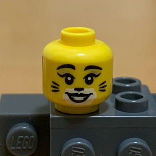【老皮】樂高 Lego 人偶部位 頭 貓女
