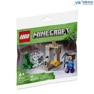 樂高 LEGO 30647 Polybag 當個創世神 鐘乳石洞 滴水石洞穴 Minecraft 麥塊 積木