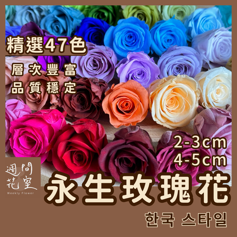 箱出保護｜A級品｜顏色最齊全｜永生玫瑰花 永生花 2-3CM 不凋花 玫瑰花束 花藝資材 乾燥花 花束 手作DIY 花
